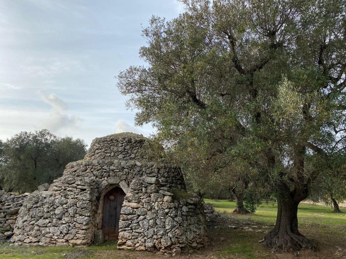 Casa Vacanze Lisa Torre Ovo Eksteriør bilde