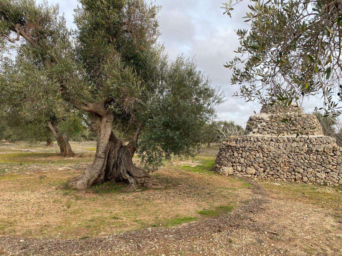 Casa Vacanze Lisa Torre Ovo Eksteriør bilde